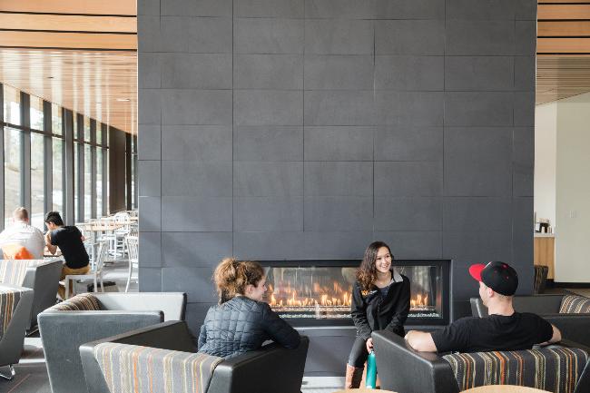 people in armchair sitting next to a large stone fireplace